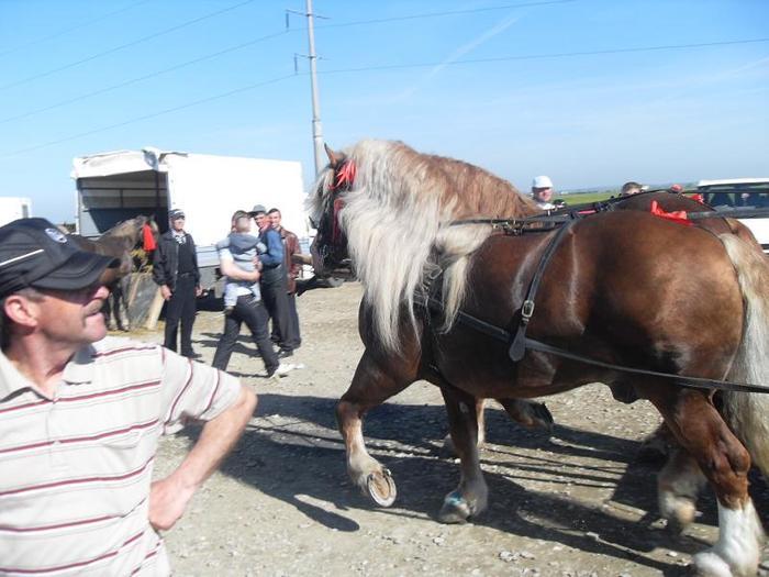 14399628_DFTSNWXQX[1]