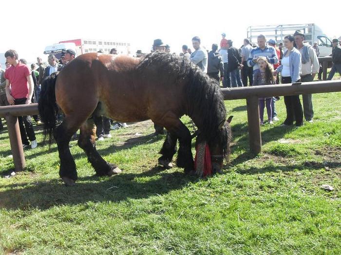 14399642_BZNQSOXTY[2]