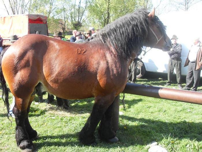 14399657_JVEQBCNCJ[2]