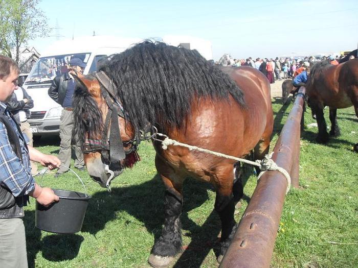 14399662_RGHMEOCBZ[1]