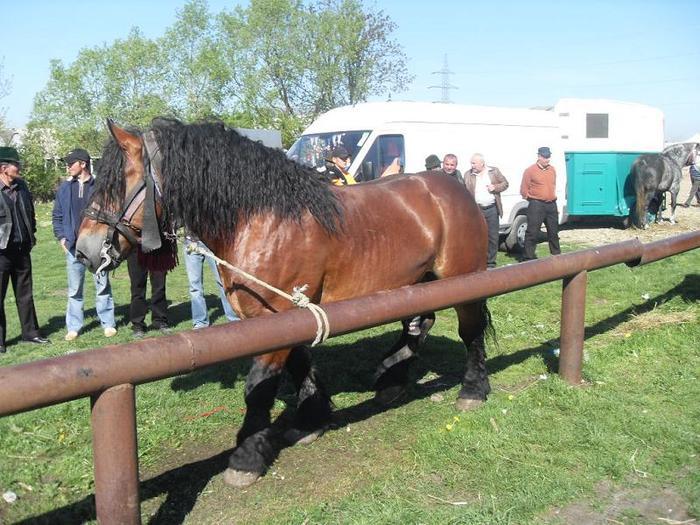 14399666_XNDAXZENA[1]