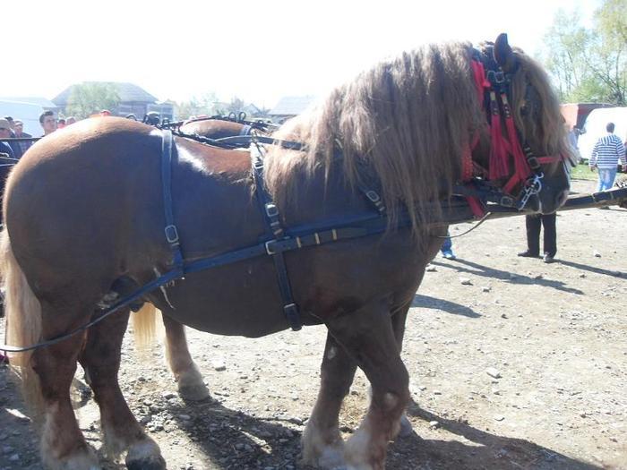 14399671_UEXFBVSIT[2]