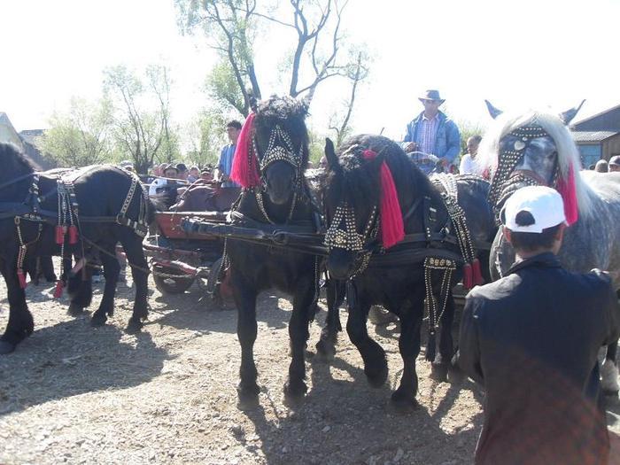 14399691_USUXAGHRX[1]