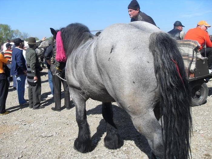 14399698_PHJOWDKRU[2]