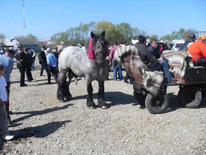 14399702_DPKMZBQPA[1]