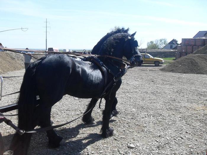 14399708_JLJHHBRNN[1]