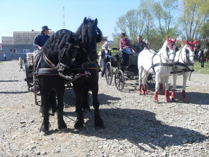 14399714_BPAXFJNYH[2]