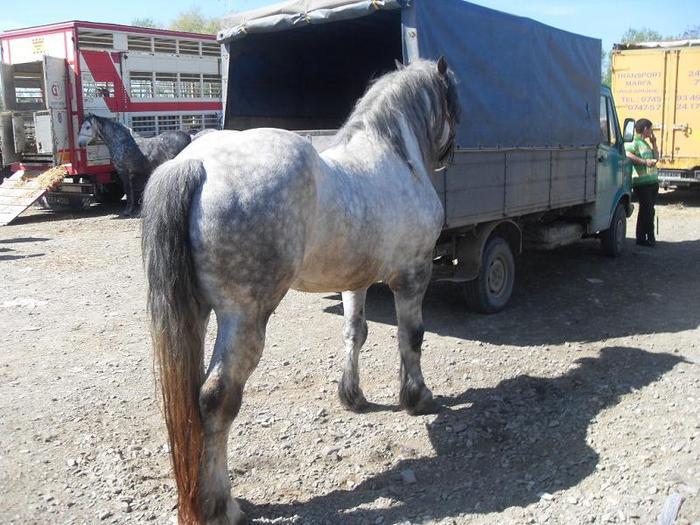 14399747_BKWNEZHWN[1]