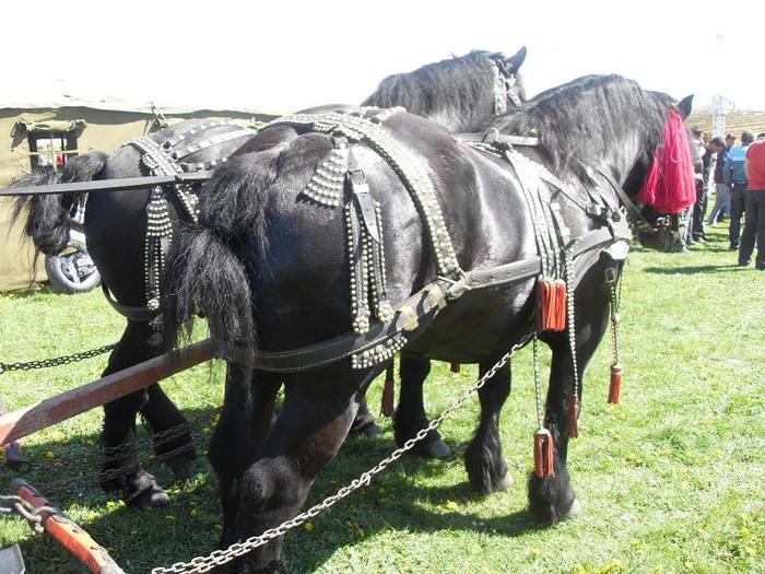 14399766_DHYANSUGV[1]