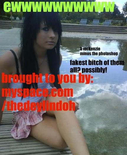 bridiot