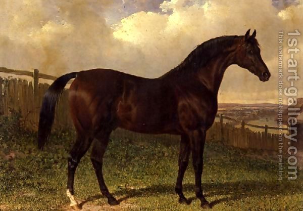 $27emilius$27,-A-Bay-Racehorse-In-A-Paddock - John Frederic Herring