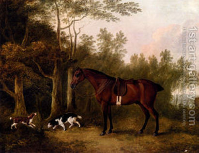 A-Bay-Hunter-And-Two-Spaniels-In-A-Landscape