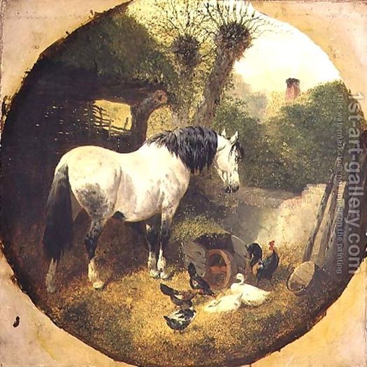 A-Carthorse-Eating-Hay-From-A-Wheel-Barrow-In-A-Farmyard