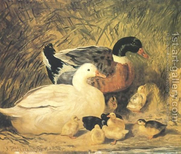 Ducks-And-Ducklings - John Frederic Herring