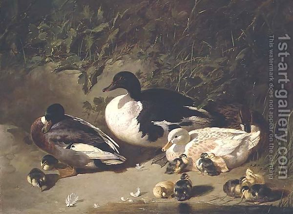 Ducks-And-Ducklings-By-A-Pond - John Frederic Herring