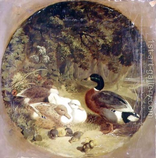 Ducks-And-Ducklings-In-A-Wooded-River-Landscape - John Frederic Herring