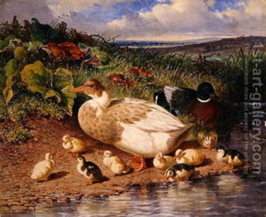 Ducks-By-A-Stream,-1863 - John Frederic Herring