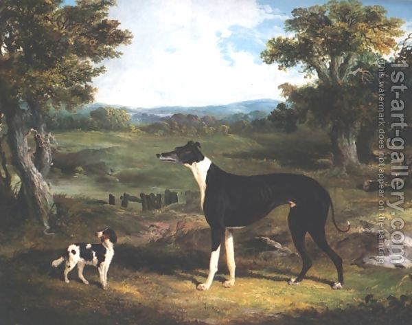 Greyhound-$26amp$3b-Dog-In-Landscape
