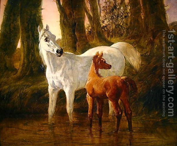 Mare-And-Foal-Startled-While-Watering-In-A-Stream,-1854