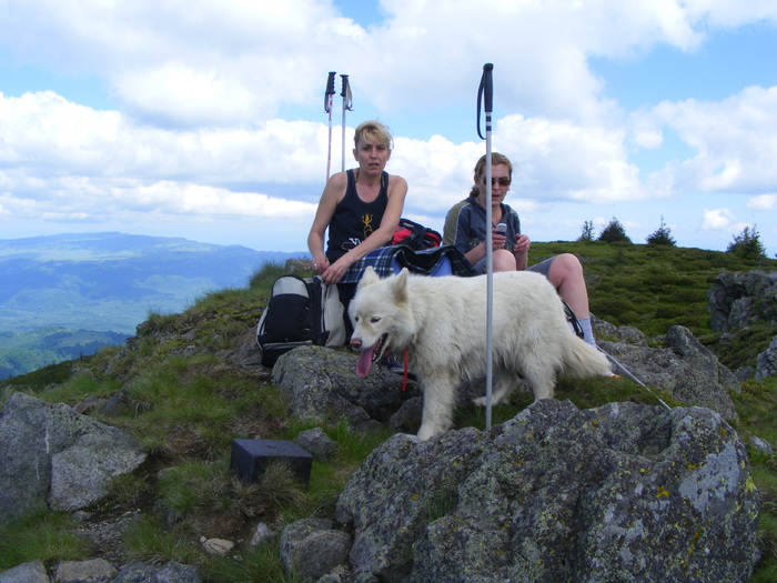 DSCF0213 - Sasa Samoyede