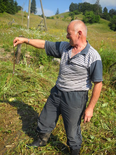 imblanzitorul de serpi