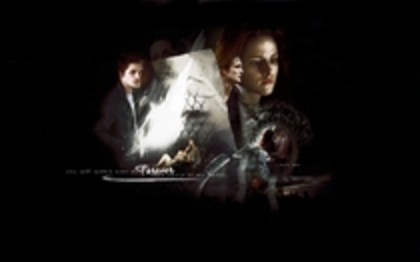 53 - Twilight