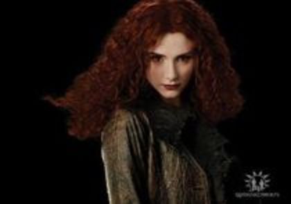 84 - Twilight