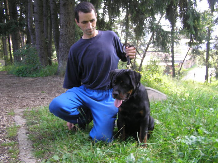 adam & hogan - rottweiler canisa adamsrott