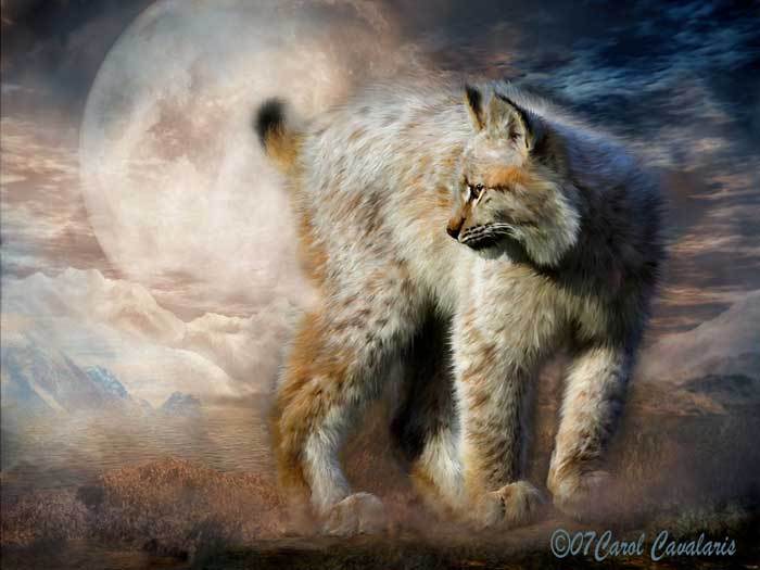 05_SilentSpirit_Pic - Carol Cavalaris by ela