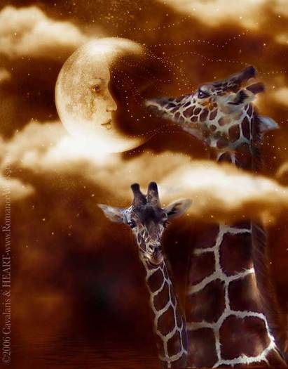 51_WayUpThere_Pic - Carol Cavalaris by ela