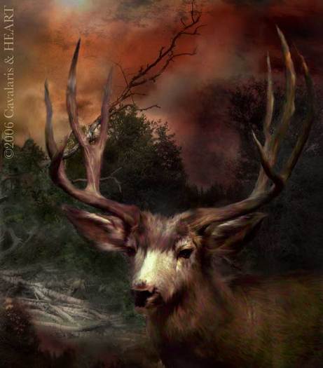 55_Stag_Pic - Carol Cavalaris by ela