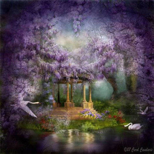80982f9e9a5e - Carol Cavalaris by ela