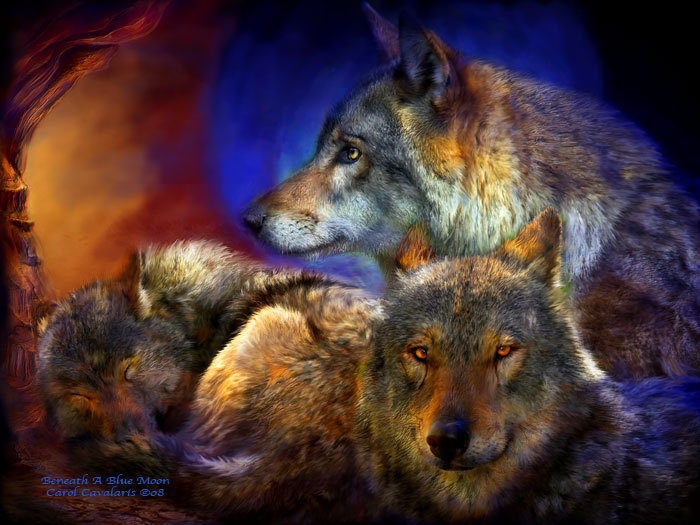 47173168_1249503679_86_BeneathBlueMoon_Pic - Carol Cavalaris by ela
