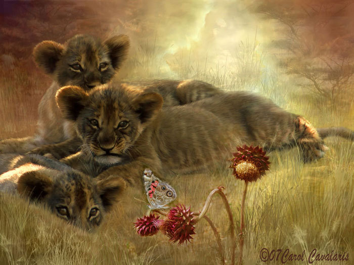 20091209215633881 - Carol Cavalaris by ela