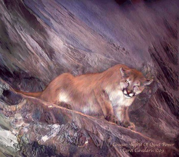 Carol Cavalaris Spirit Of The Wild -100_SpiritOfQuietPower_Pic-787799