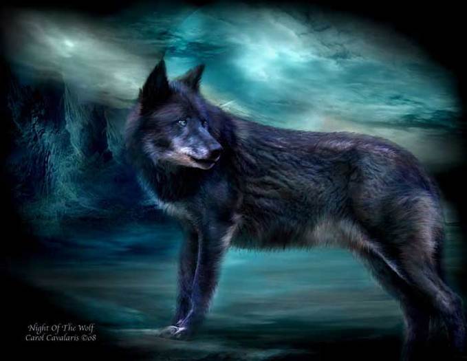 Carol Cavalaris Spirit Of The Wild - 91_NightOfTheWolf_Pic-780800