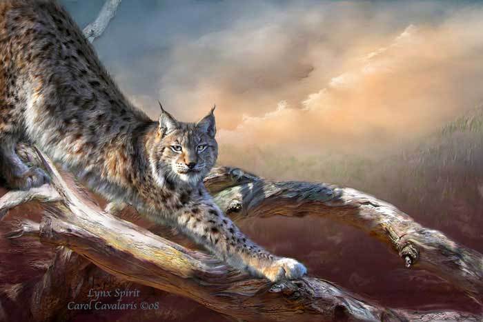 Carol Cavalaris Spirit Of The Wild - 94_LynxSpirit_Pic-782292