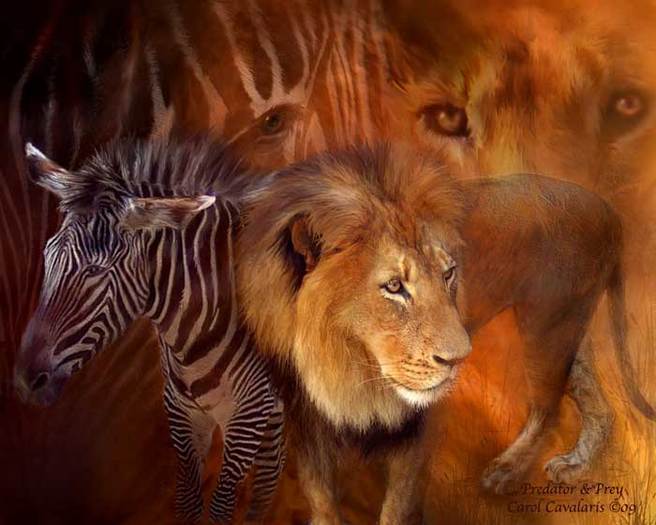 Carol Cavalaris Spirit Of The Wild - 105_PredatorPrey_Pic-791246