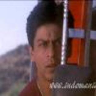 p1Ppxh428497-01 - Shahrukh Khan