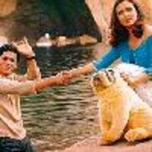 rToMiy452864-01 - Shahrukh Khan
