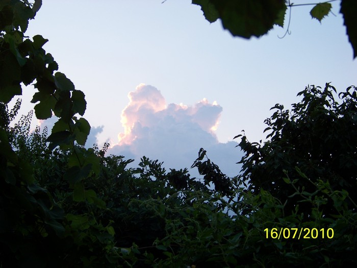 100_5811 - 13 17 iulie 2010