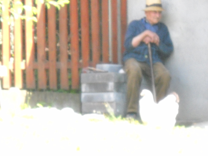 DSCN3095 - clubul bistritean si altele