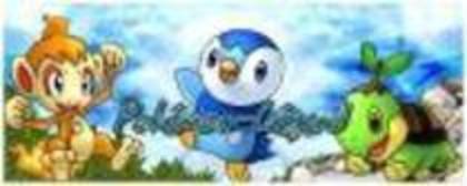 194_88_148_415ywyws4yw4 - pokemon