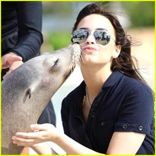 demi-lovato-sea-lion-kiss - Demi Lovato on the beach
