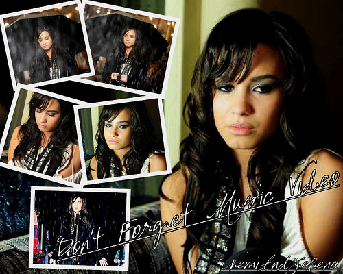 3324306401_921a50549b - demi lovato-don t forget