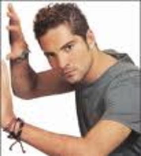 451 - david bisbal