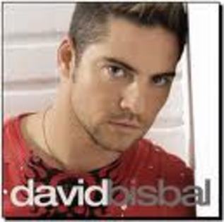 images77479844564648 - david bisbal