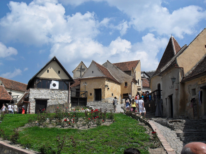 SDC12320; RASNOV
