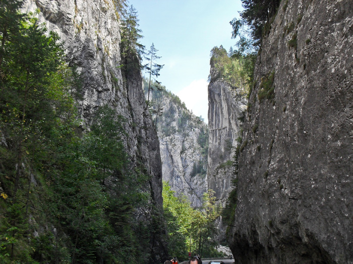 SDC12773; BICAZ CHEI
