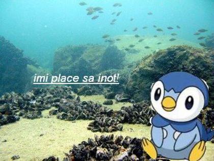 Piplul in apa in elementul lui!